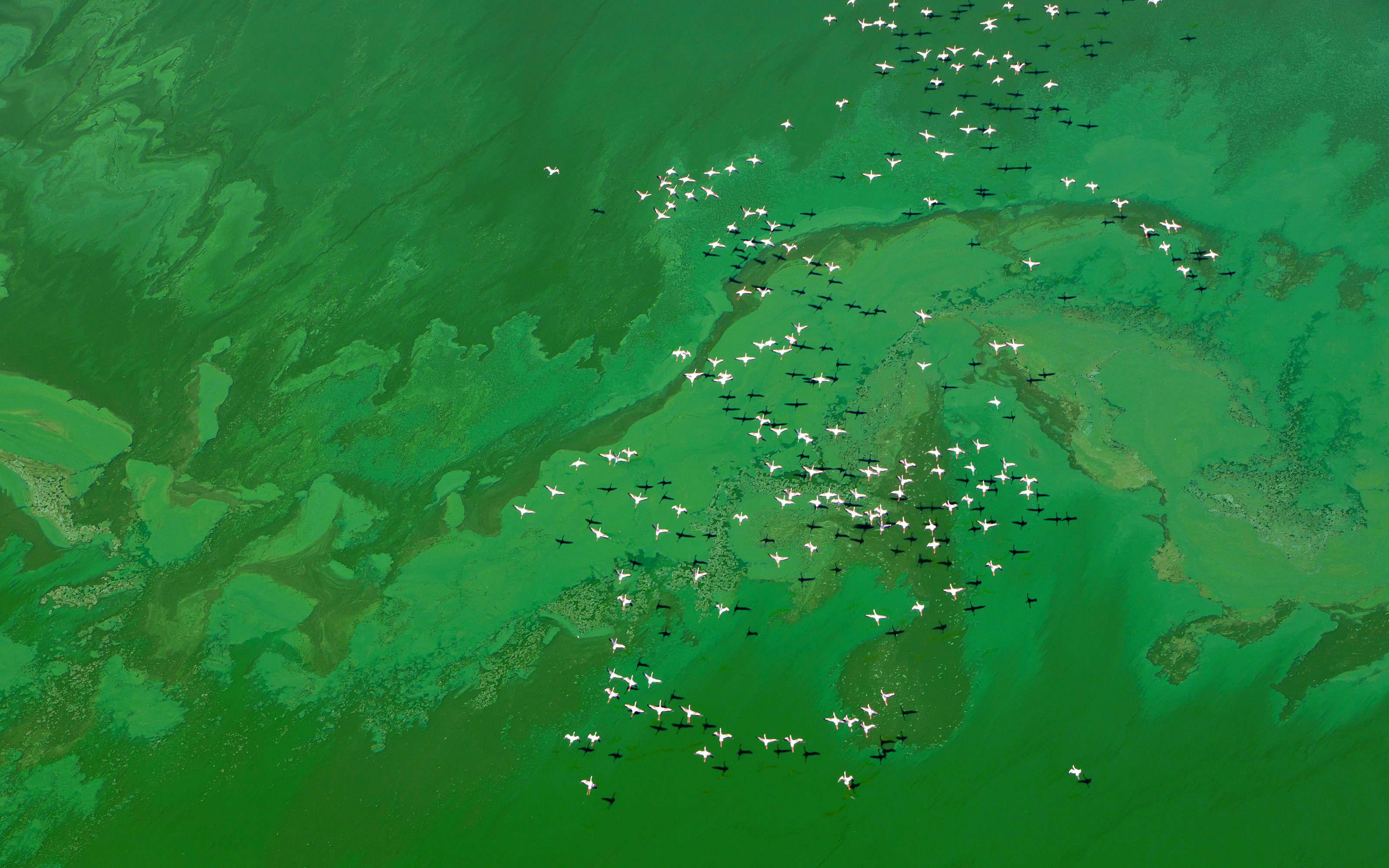 JAM_LEUNG的个人主页（封面预览） - 主页封面设置 - 站酷设计师JAM_LEUNG原创素材 - 站酷ZCOOL