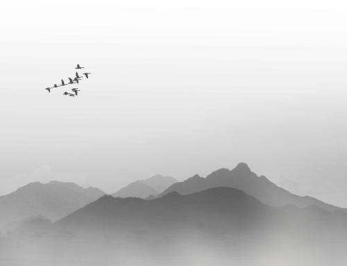 曲调索爱的个人主页（封面预览） - 主页封面设置 - 站酷设计师曲调索爱原创素材 - 站酷ZCOOL