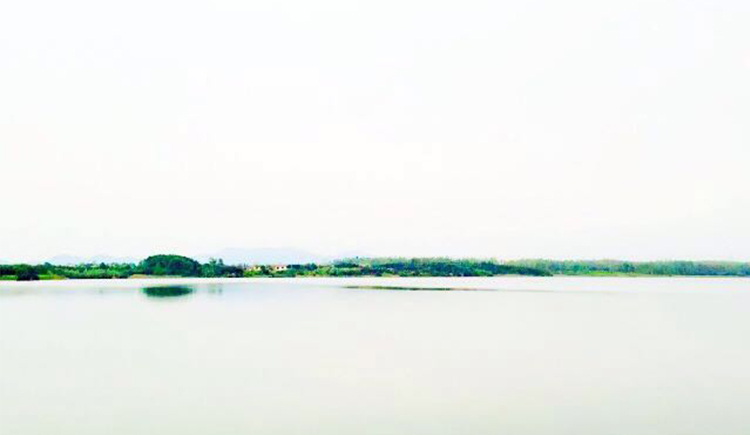 七月樱花July的个人主页（封面预览） - 主页封面设置 - 站酷设计师七月樱花July原创素材 - 站酷ZCOOL