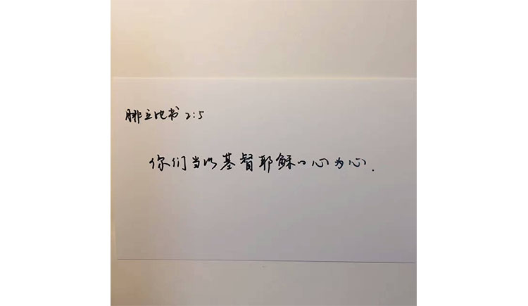 彡兔彡的個(gè)人主頁（封面預(yù)覽） - 主頁封面設(shè)置 - 站酷設(shè)計(jì)師彡兔彡原創(chuàng)素材 - 站酷ZCOOL