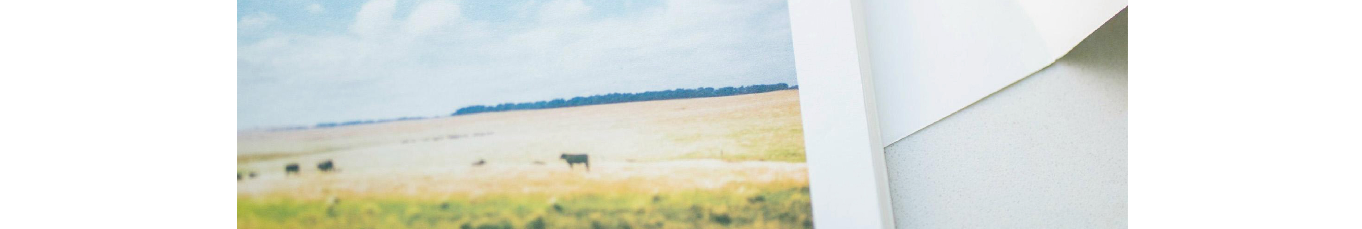 木末自然筆記的個(gè)人主頁(yè)（封面預(yù)覽） - 主頁(yè)封面設(shè)置 - 站酷設(shè)計(jì)師木末自然筆記原創(chuàng)素材 - 站酷ZCOOL