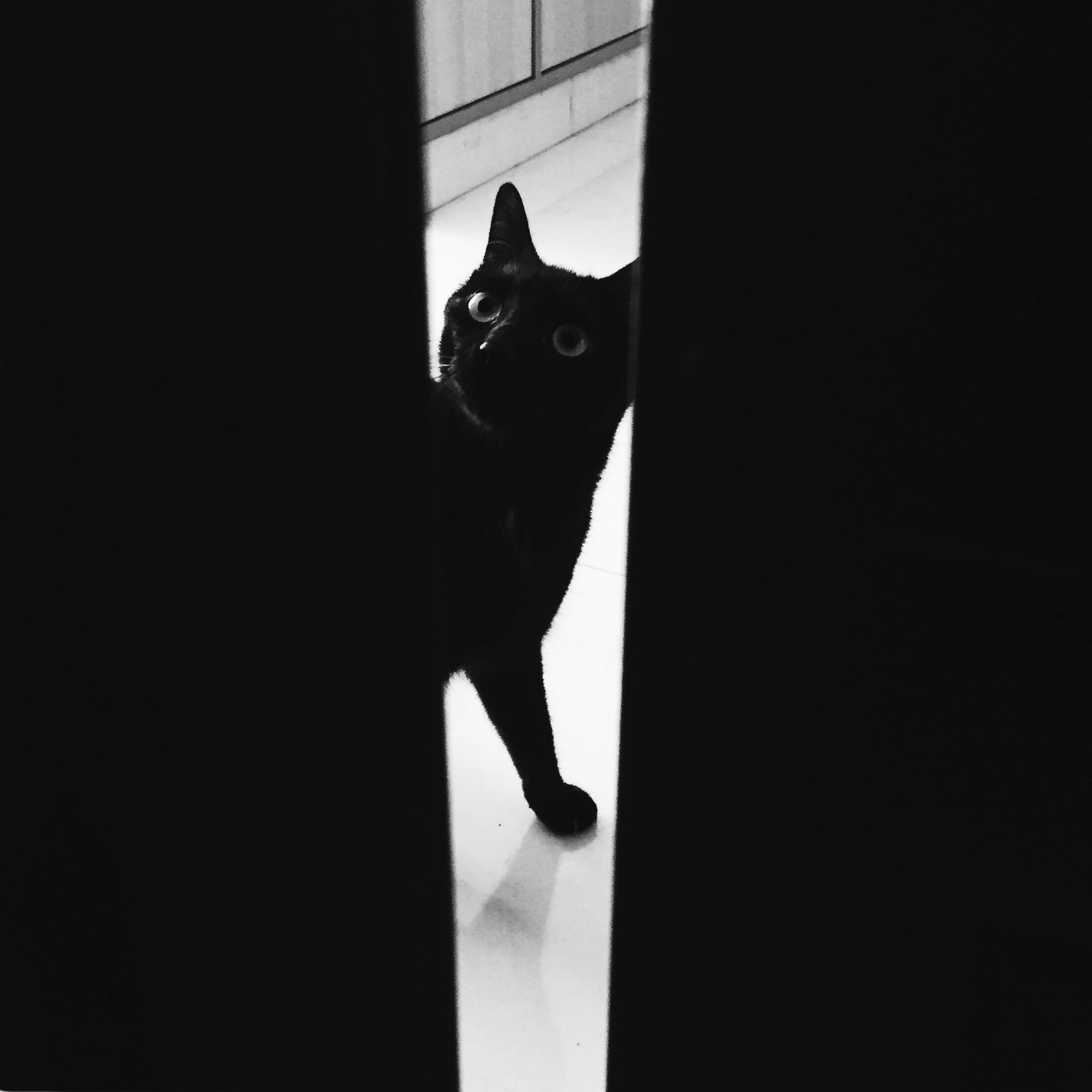 PAPATA的個人主頁（封面預覽） - 主頁封面設(shè)置 - 站酷設(shè)計師PAPATA原創(chuàng)素材 - 站酷ZCOOL