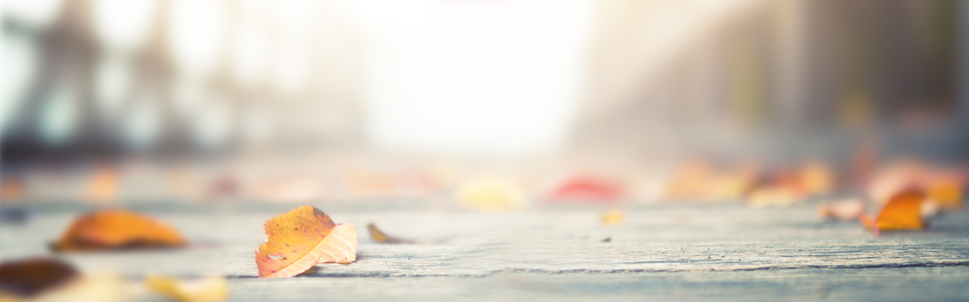 Yanni_12的个人主页（封面预览） - 主页封面设置 - 站酷设计师Yanni_12原创素材 - 站酷ZCOOL