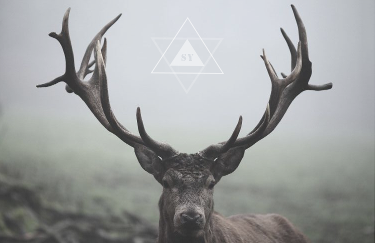 南宮穎軒的個人主頁（封面預覽） - 主頁封面設置 - 站酷設計師南宮穎軒原創(chuàng)素材 - 站酷ZCOOL