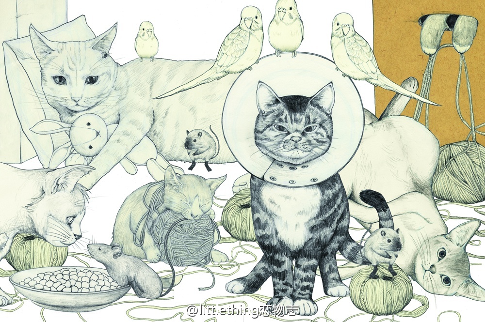 lavender的猫的个人主页（封面预览） - 主页封面设置 - 站酷设计师lavender的猫原创素材 - 站酷ZCOOL