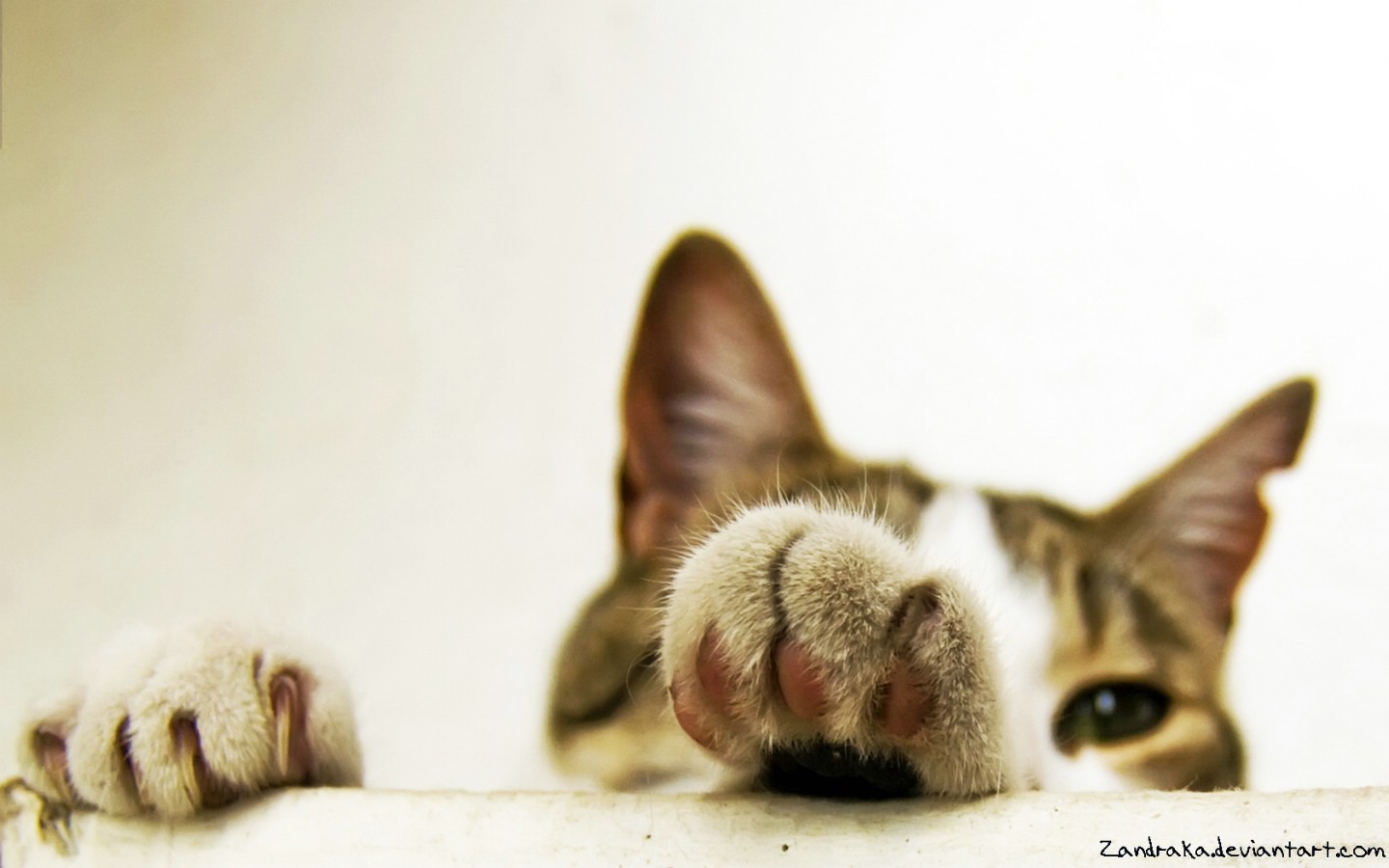 秀山景下的個人主頁（封面預覽） - 主頁封面設置 - 站酷設計師秀山景下原創(chuàng)素材 - 站酷ZCOOL