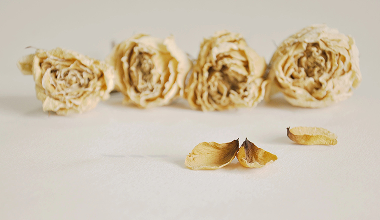 彭彭君的个人主页（封面预览） - 主页封面设置 - 站酷设计师彭彭君原创素材 - 站酷ZCOOL