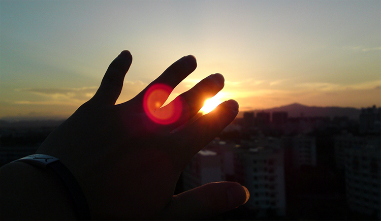 Picture