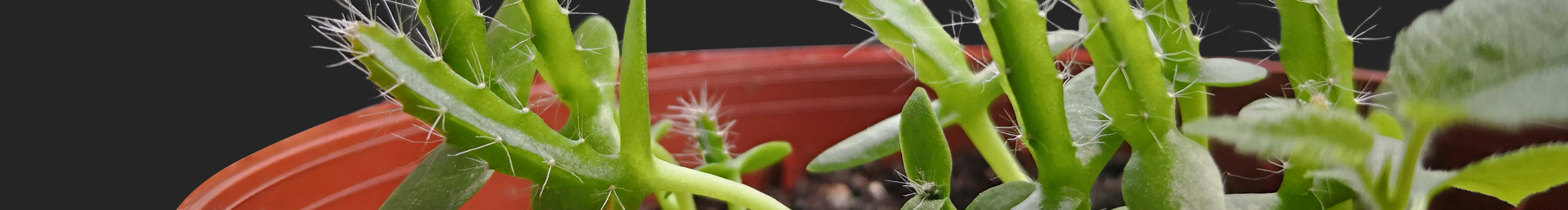 啊呼呼嘿嘿嘿的个人主页（封面预览） - 主页封面设置 - 站酷设计师啊呼呼嘿嘿嘿原创素材 - 站酷ZCOOL