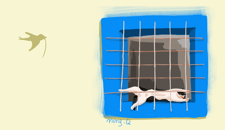 Mdolala的個人主頁（封面預覽） - 主頁封面設(shè)置 - 站酷設(shè)計師Mdolala原創(chuàng)素材 - 站酷ZCOOL