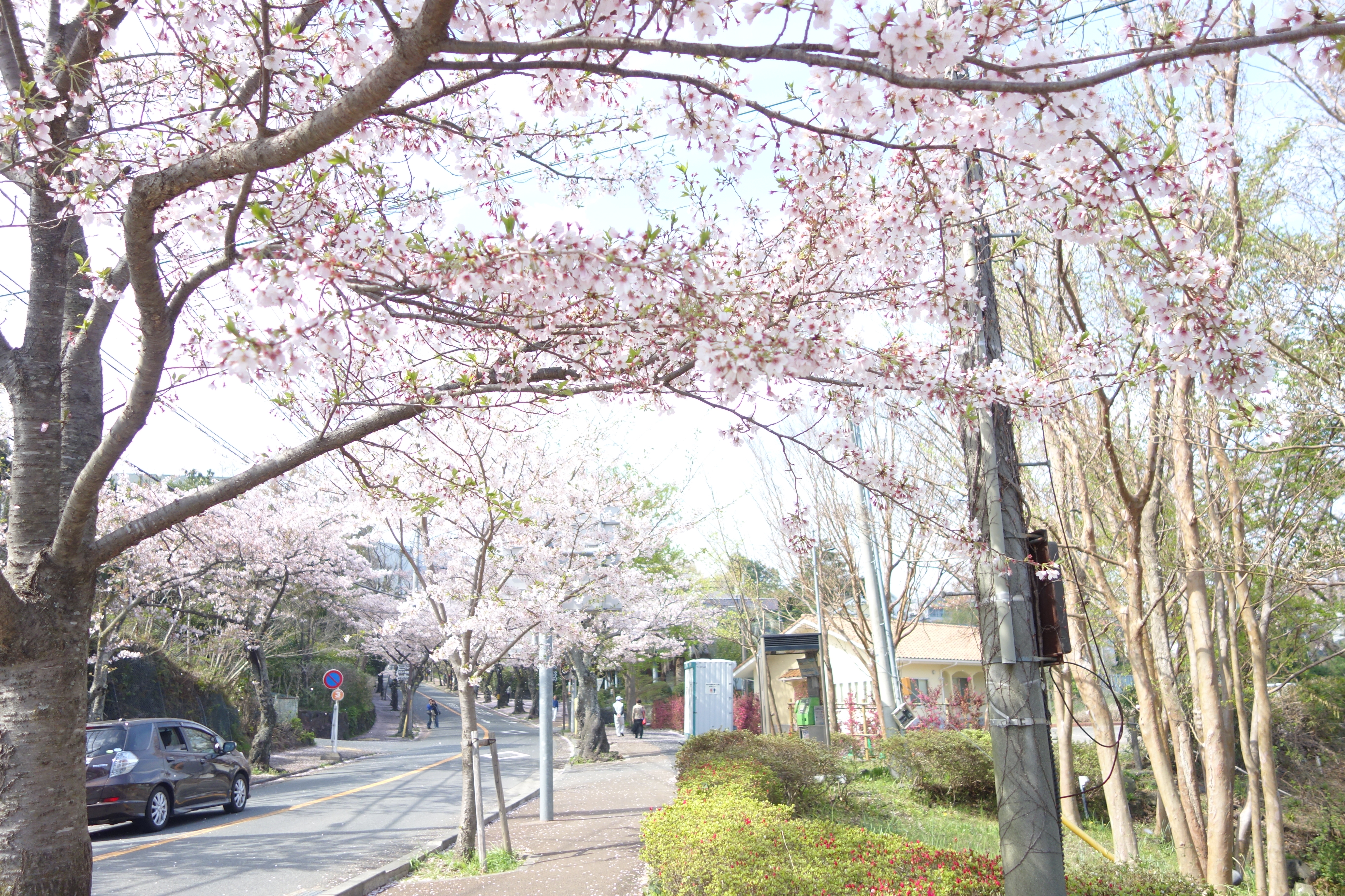 Christine_zhu的个人主页（封面预览） - 主页封面设置 - 站酷设计师Christine_zhu原创素材 - 站酷ZCOOL