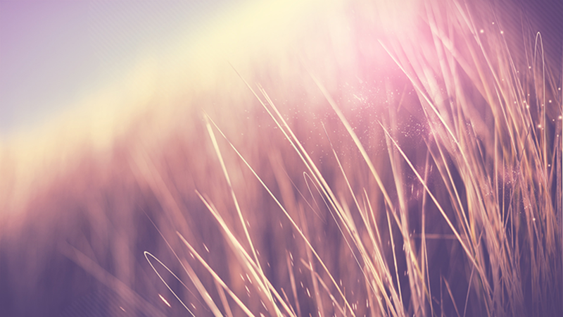 何楊你好的個人主頁（封面預(yù)覽） - 主頁封面設(shè)置 - 站酷設(shè)計師何楊你好原創(chuàng)素材 - 站酷ZCOOL