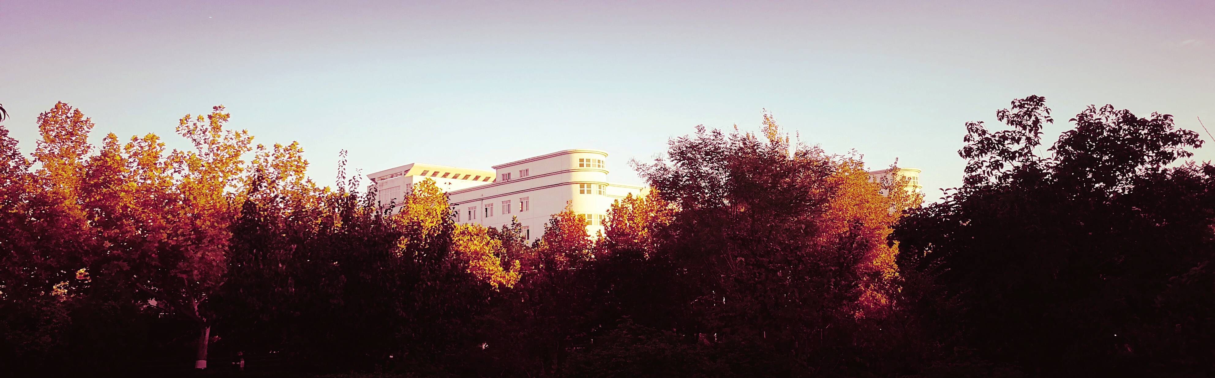 想不起來LD的個(gè)人主頁（封面預(yù)覽） - 主頁封面設(shè)置 - 站酷設(shè)計(jì)師想不起來LD原創(chuàng)素材 - 站酷ZCOOL