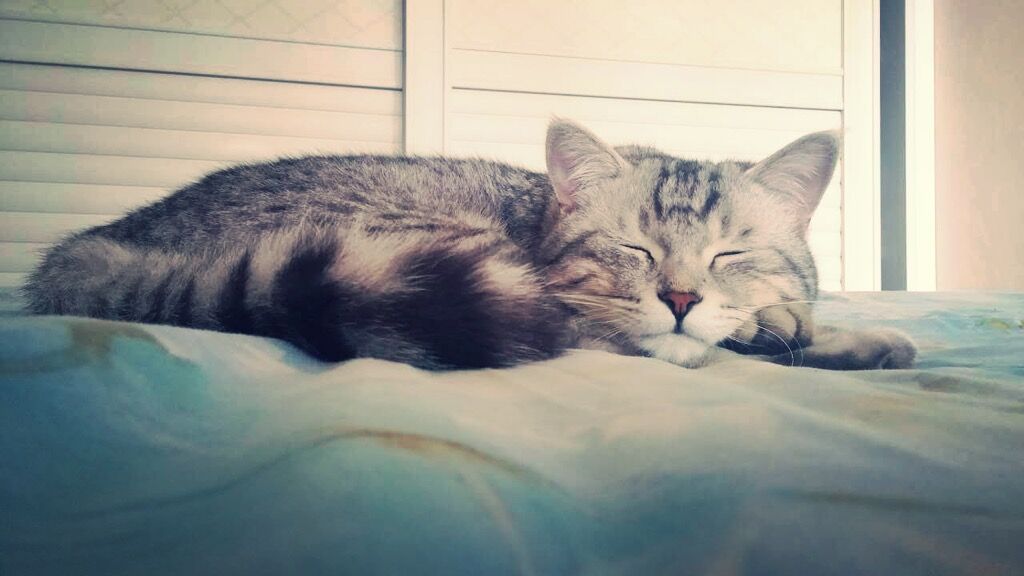 何中樘的个人主页（封面预览） - 主页封面设置 - 站酷设计师何中樘原创素材 - 站酷ZCOOL