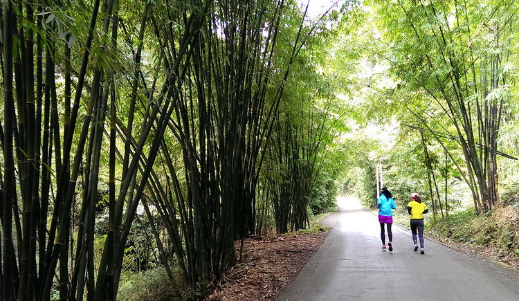 崔小小大大喵的个人主页（封面预览） - 主页封面设置 - 站酷设计师崔小小大大喵原创素材 - 站酷ZCOOL