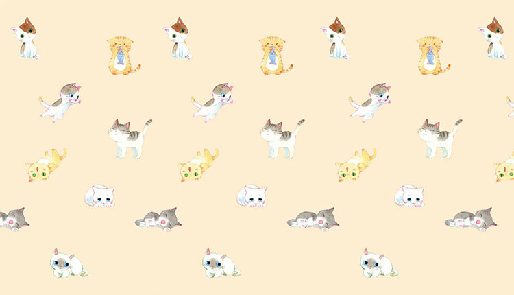 蜉蝣小貓醬的個(gè)人主頁(yè)（封面預(yù)覽） - 主頁(yè)封面設(shè)置 - 站酷設(shè)計(jì)師蜉蝣小貓醬原創(chuàng)素材 - 站酷ZCOOL