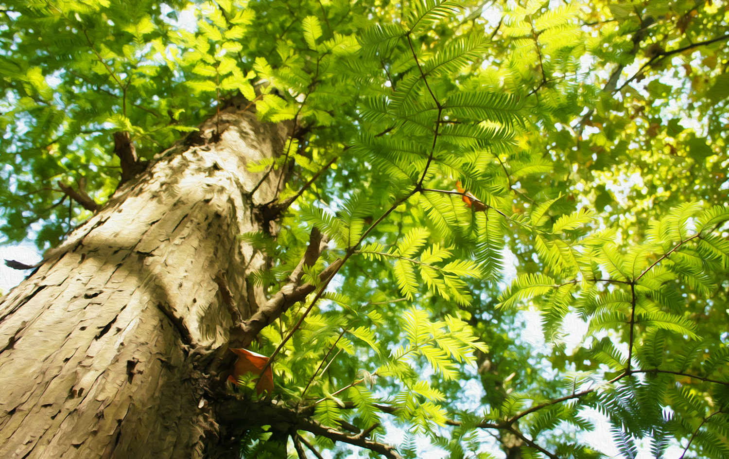 拾叁佳的個人主頁（封面預(yù)覽） - 主頁封面設(shè)置 - 站酷設(shè)計師拾叁佳原創(chuàng)素材 - 站酷ZCOOL
