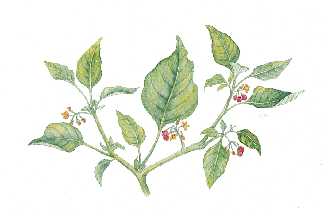 _青山_的个人主页（封面预览） - 主页封面设置 - 站酷设计师_青山_原创素材 - 站酷ZCOOL