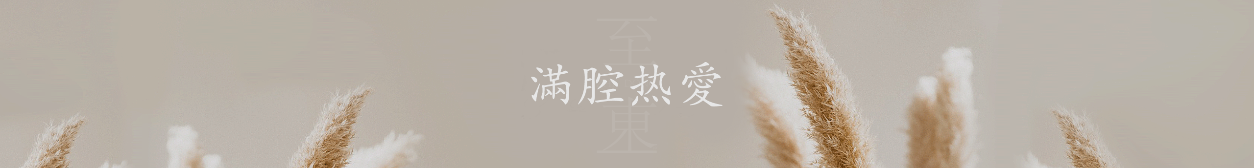 至东的个人主页（封面预览） - 主页封面设置 - 站酷设计师至东原创素材 - 站酷ZCOOL