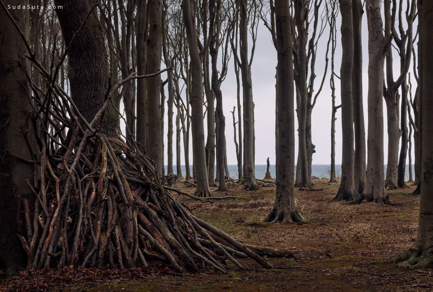 WWLLL的个人主页（封面预览） - 主页封面设置 - 站酷设计师WWLLL原创素材 - 站酷ZCOOL