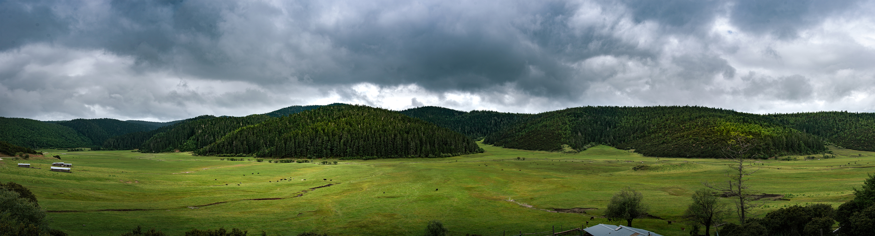 獵人印記的個(gè)人主頁（封面預(yù)覽） - 主頁封面設(shè)置 - 站酷設(shè)計(jì)師獵人印記原創(chuàng)素材 - 站酷ZCOOL