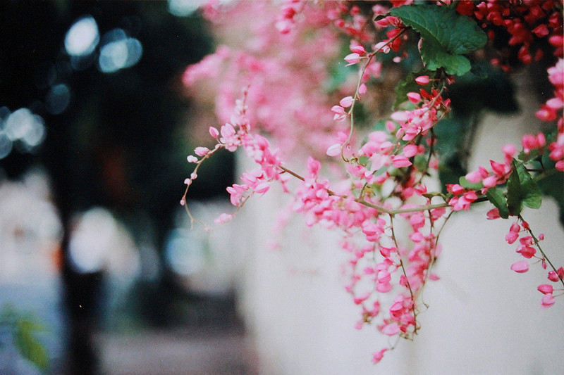 美少女释迦的个人主页（封面预览） - 主页封面设置 - 站酷设计师美少女释迦原创素材 - 站酷ZCOOL