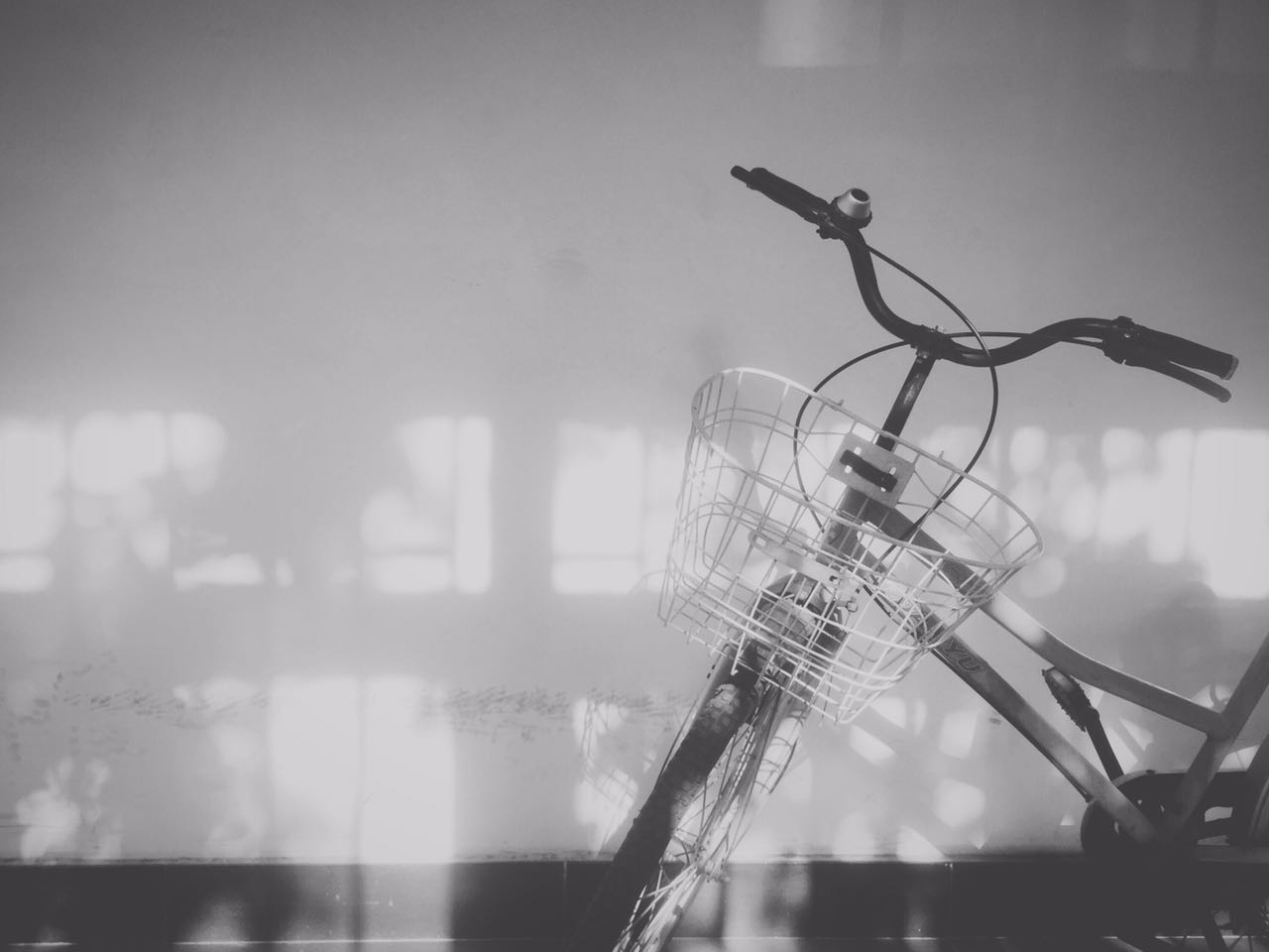 喝牛奶的圈圈的个人主页（封面预览） - 主页封面设置 - 站酷设计师喝牛奶的圈圈原创素材 - 站酷ZCOOL