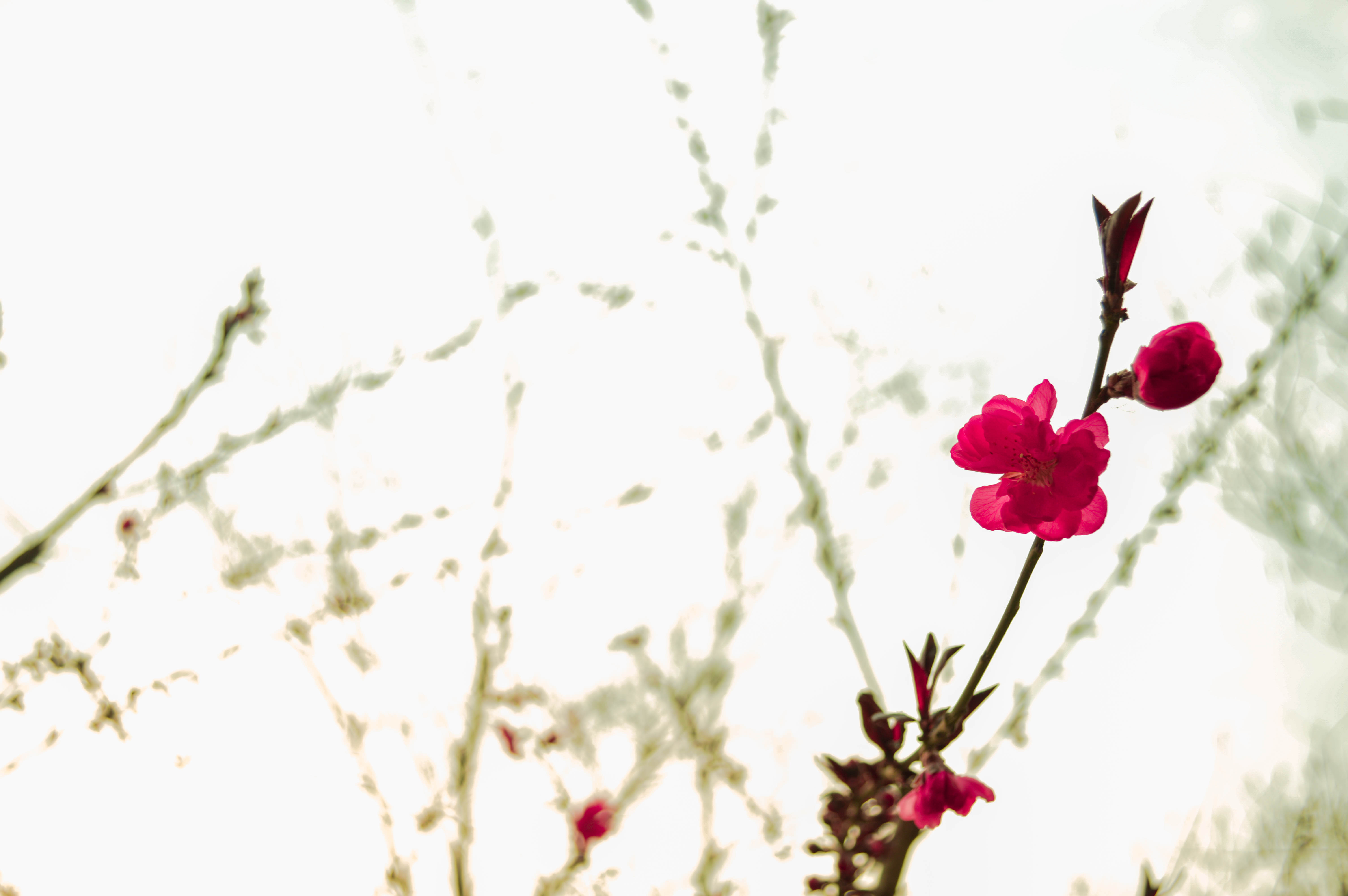 shadolu的个人主页（封面预览） - 主页封面设置 - 站酷设计师shadolu原创素材 - 站酷ZCOOL