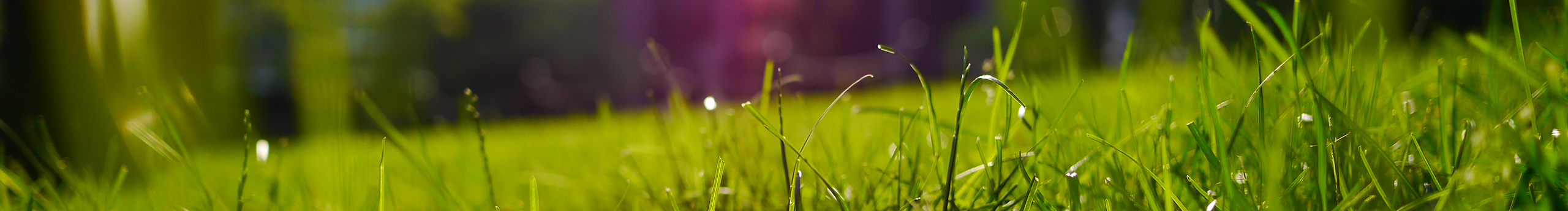 MS0214的个人主页（封面预览） - 主页封面设置 - 站酷设计师MS0214原创素材 - 站酷ZCOOL