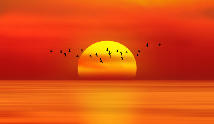 Leslin君的個(gè)人主頁(yè)（封面預(yù)覽） - 主頁(yè)封面設(shè)置 - 站酷設(shè)計(jì)師Leslin君原創(chuàng)素材 - 站酷ZCOOL