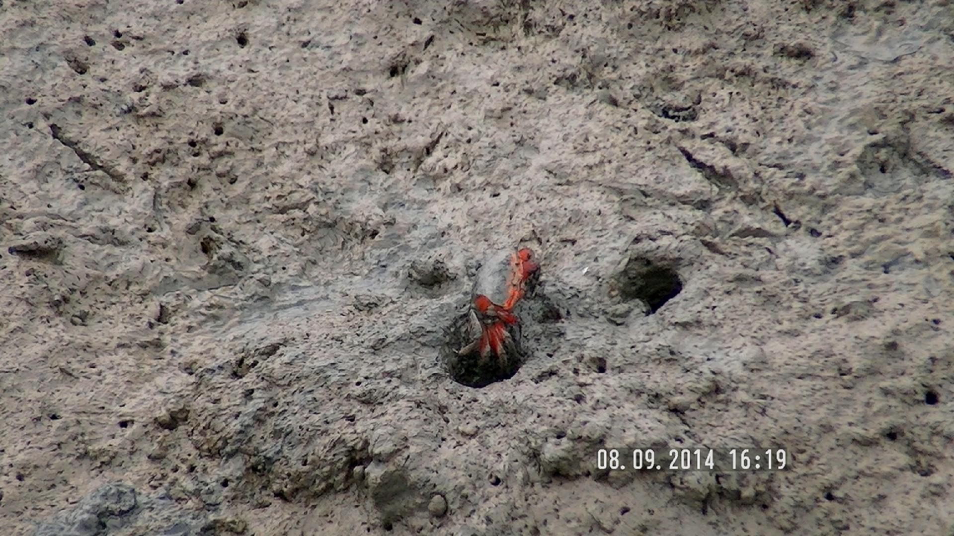肥腸粉的個人主頁（封面預覽） - 主頁封面設置 - 站酷設計師肥腸粉原創(chuàng)素材 - 站酷ZCOOL