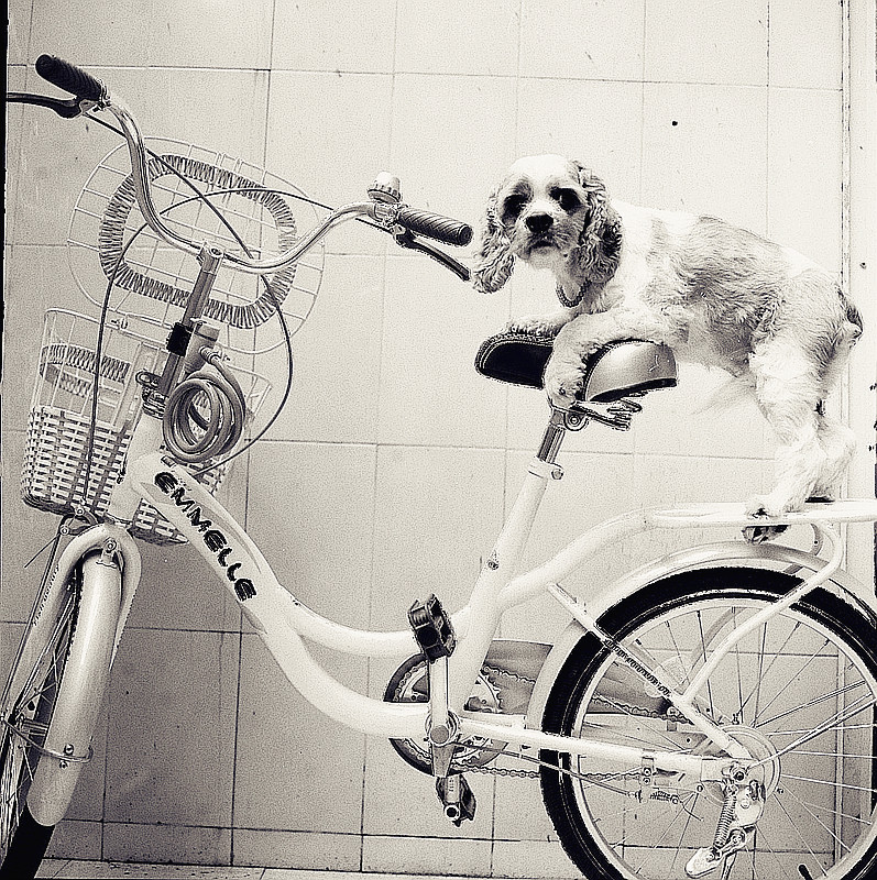 创意之的个人主页（封面预览） - 主页封面设置 - 站酷设计师创意之原创素材 - 站酷ZCOOL