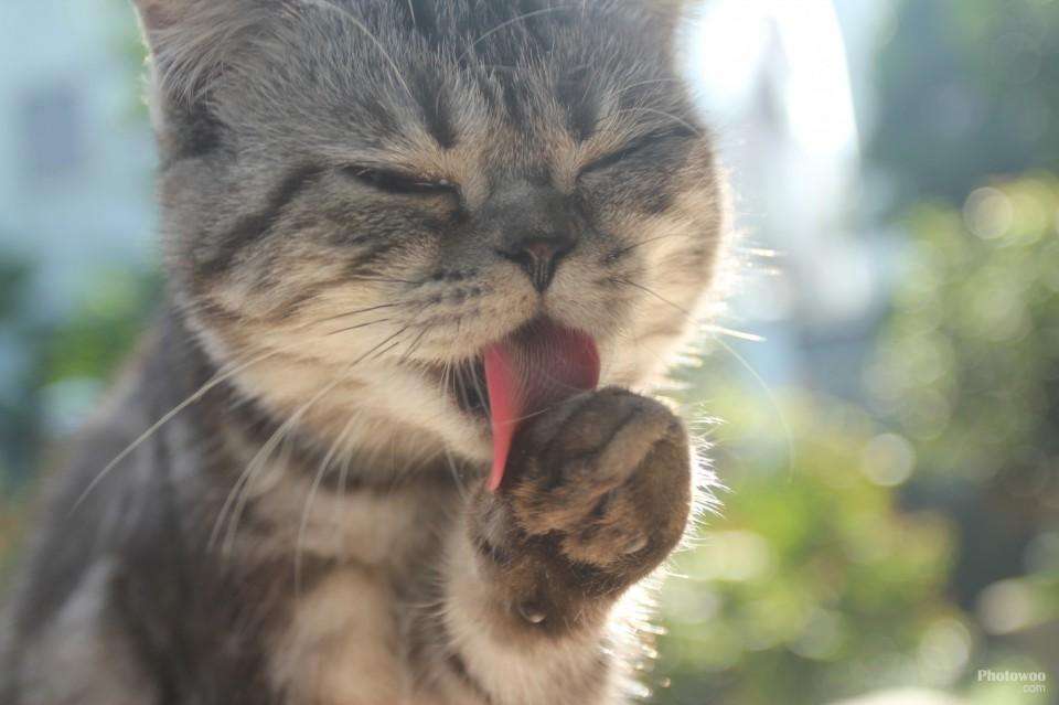 第九天堂丶的個(gè)人主頁(yè)（封面預(yù)覽） - 主頁(yè)封面設(shè)置 - 站酷設(shè)計(jì)師第九天堂丶原創(chuàng)素材 - 站酷ZCOOL