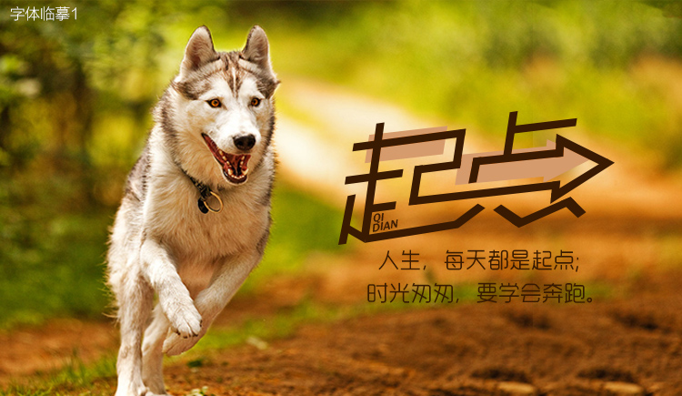 花臉撒的個(gè)人主頁(yè)（封面預(yù)覽） - 主頁(yè)封面設(shè)置 - 站酷設(shè)計(jì)師花臉撒原創(chuàng)素材 - 站酷ZCOOL