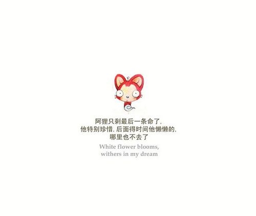 莫小言丶的个人主页（封面预览） - 主页封面设置 - 站酷设计师莫小言丶原创素材 - 站酷ZCOOL