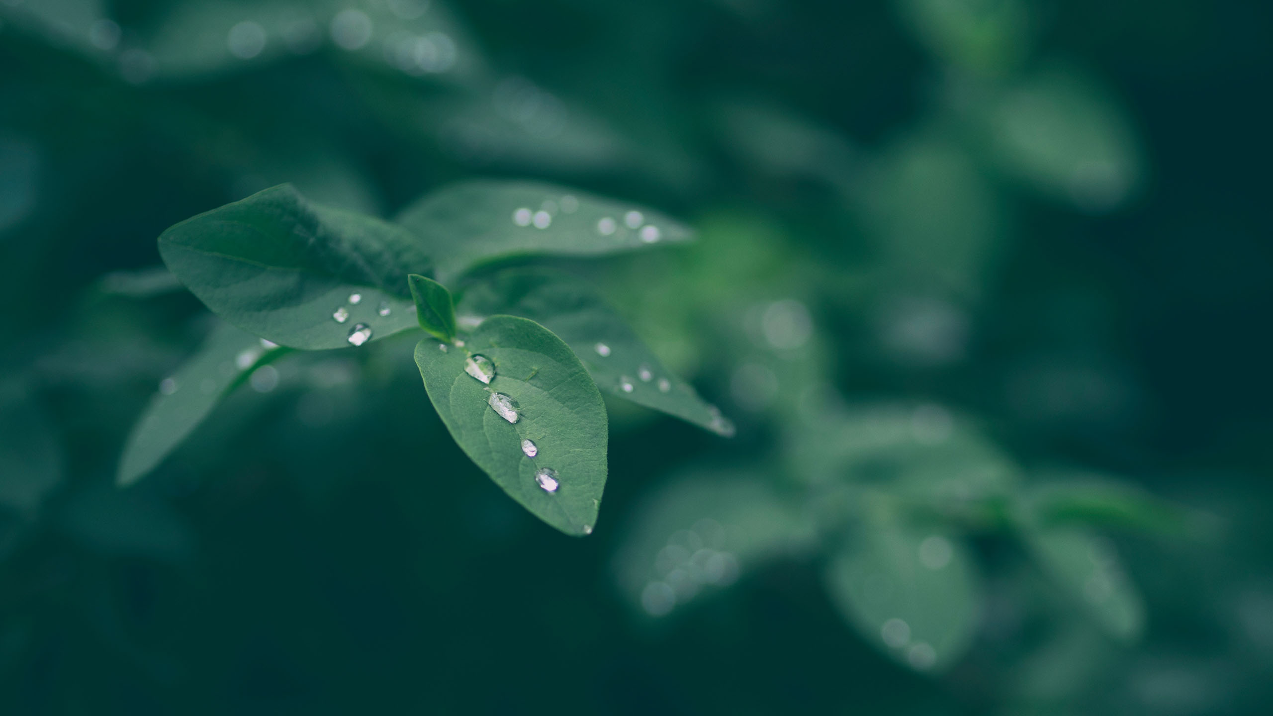 是免不是兔啊的个人主页（封面预览） - 主页封面设置 - 站酷设计师是免不是兔啊原创素材 - 站酷ZCOOL