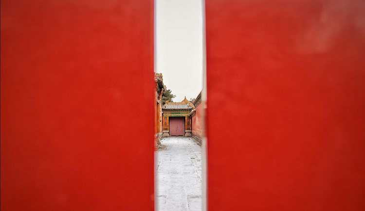 suxiao_zhang的个人主页（封面预览） - 主页封面设置 - 站酷设计师suxiao_zhang原创素材 - 站酷ZCOOL