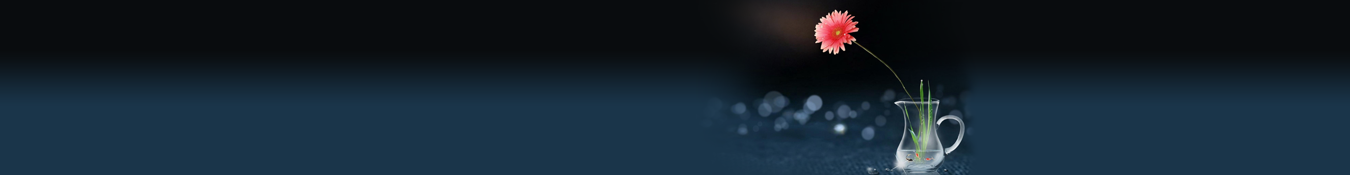 lynn550的个人主页（封面预览） - 主页封面设置 - 站酷设计师lynn550原创素材 - 站酷ZCOOL