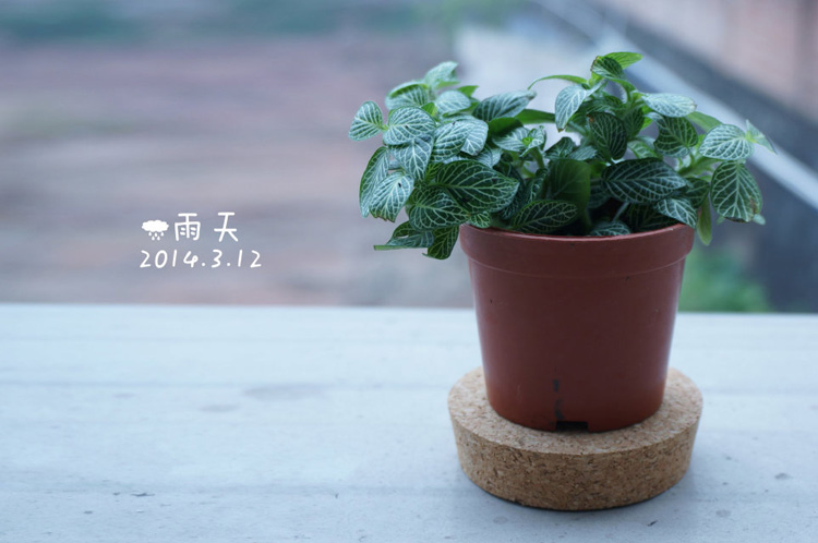 不吃護(hù)肝片的個(gè)人主頁（封面預(yù)覽） - 主頁封面設(shè)置 - 站酷設(shè)計(jì)師不吃護(hù)肝片原創(chuàng)素材 - 站酷ZCOOL