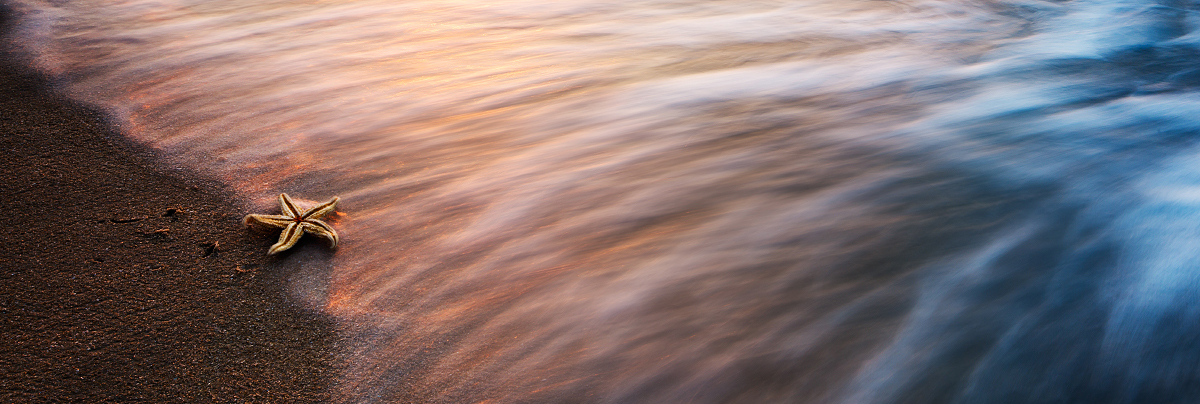 大花生的个人主页（封面预览） - 主页封面设置 - 站酷设计师大花生原创素材 - 站酷ZCOOL