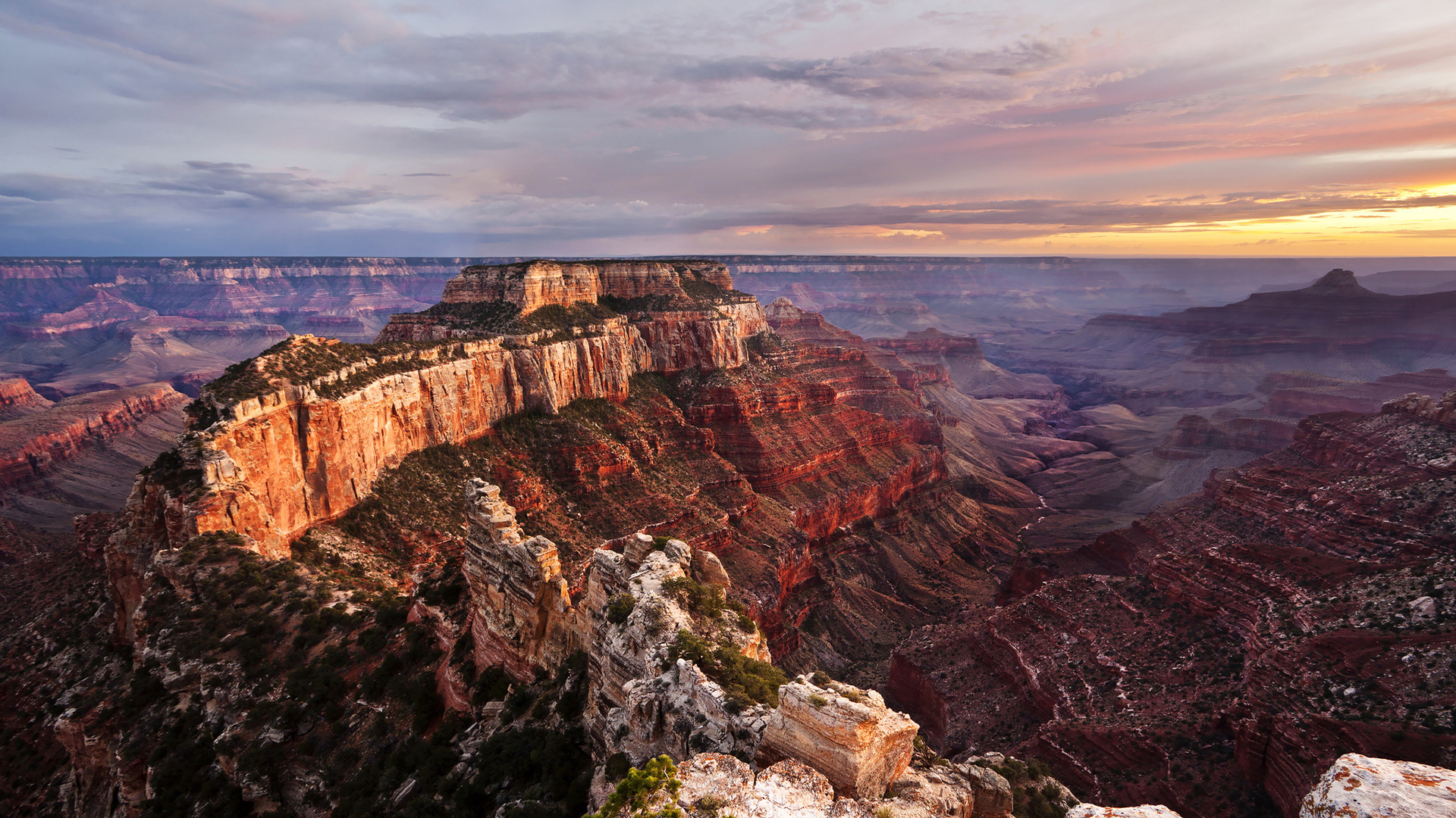 画在意的收藏夹 - 站酷 (zcool)