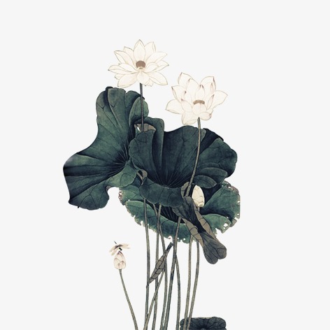 米啦的個(gè)人主頁（封面預(yù)覽） - 主頁封面設(shè)置 - 站酷設(shè)計(jì)師米啦原創(chuàng)素材 - 站酷ZCOOL