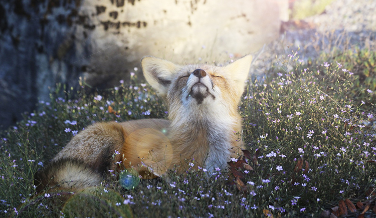 narella的个人主页（封面预览） - 主页封面设置 - 站酷设计师narella原创素材 - 站酷ZCOOL