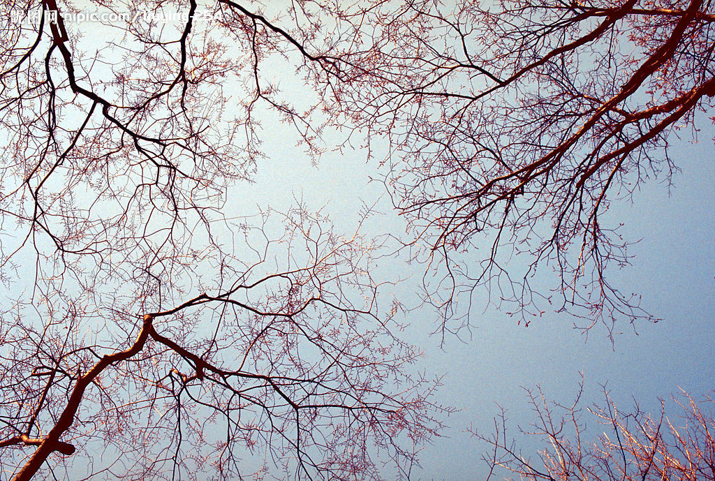 杜肚肚的個人主頁（封面預(yù)覽） - 主頁封面設(shè)置 - 站酷設(shè)計師杜肚肚原創(chuàng)素材 - 站酷ZCOOL