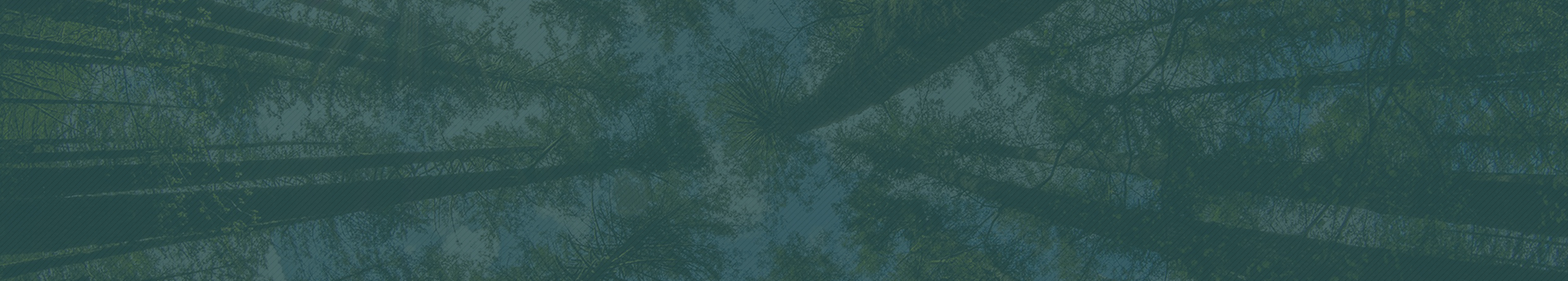 畿米的个人主页（封面预览） - 主页封面设置 - 站酷设计师畿米原创素材 - 站酷ZCOOL