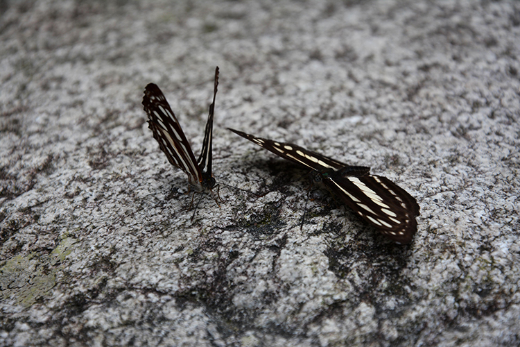 Ti_key的个人主页（封面预览） - 主页封面设置 - 站酷设计师Ti_key原创素材 - 站酷ZCOOL