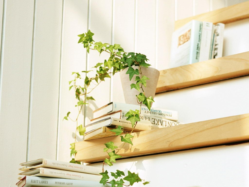 Annie_安妮的个人主页（封面预览） - 主页封面设置 - 站酷设计师Annie_安妮原创素材 - 站酷ZCOOL