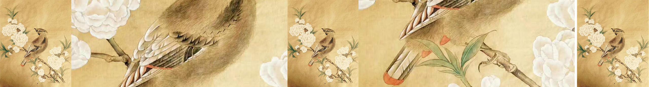 阿麥酱的个人主页（封面预览） - 主页封面设置 - 站酷设计师阿麥酱原创素材 - 站酷ZCOOL