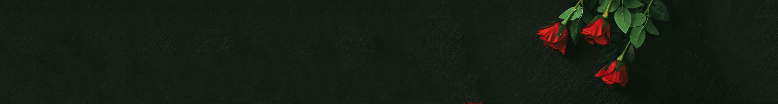 鎖乙的個人主頁（封面預(yù)覽） - 主頁封面設(shè)置 - 站酷設(shè)計師鎖乙原創(chuàng)素材 - 站酷ZCOOL