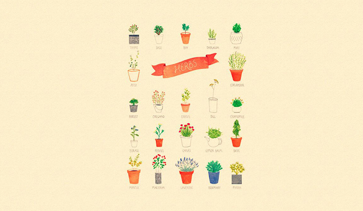 十五国的个人主页（封面预览） - 主页封面设置 - 站酷设计师十五国原创素材 - 站酷ZCOOL